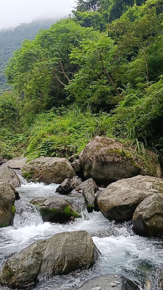 小錦屏野溪溫泉山間溪流景色