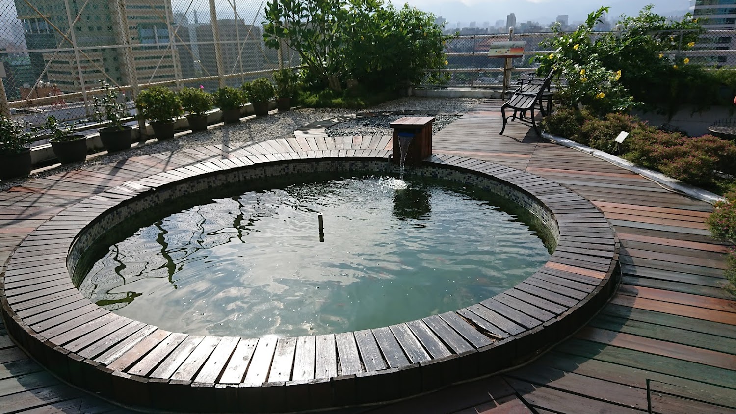 屋頂花園魚池與植栽景觀，城市中帶有放鬆感