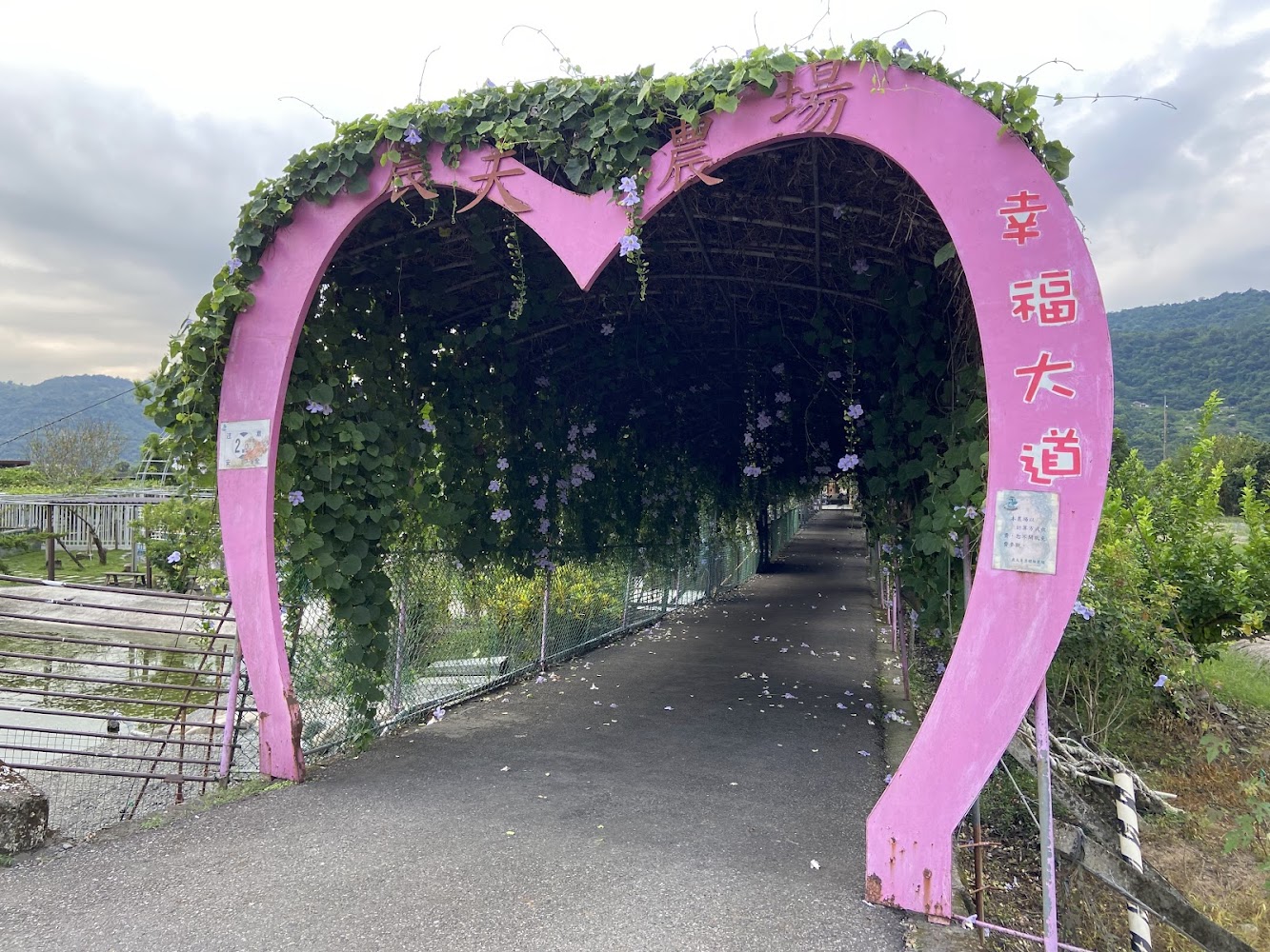幸福大道造景拱門，覆蓋藤蔓與花朵
