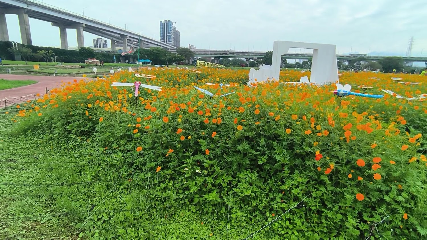 河濱蝶戀季橙色花田與大型昆蟲裝置