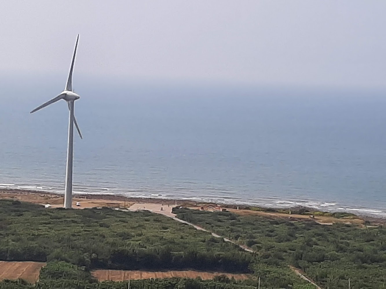 後龍好望角海邊風力發電機
