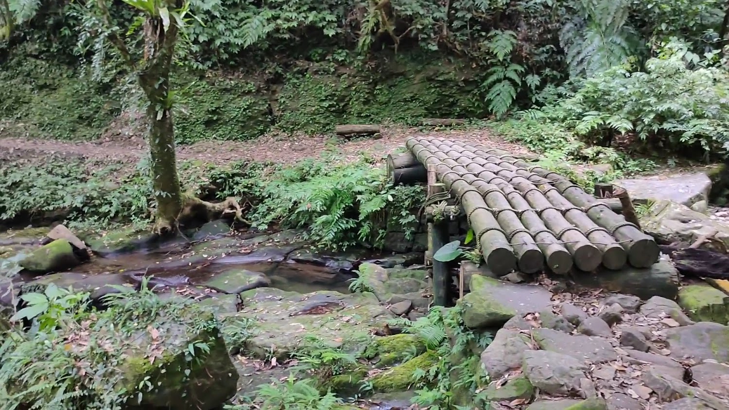 淡蘭古道灣潭段竹橋與森林溪流
