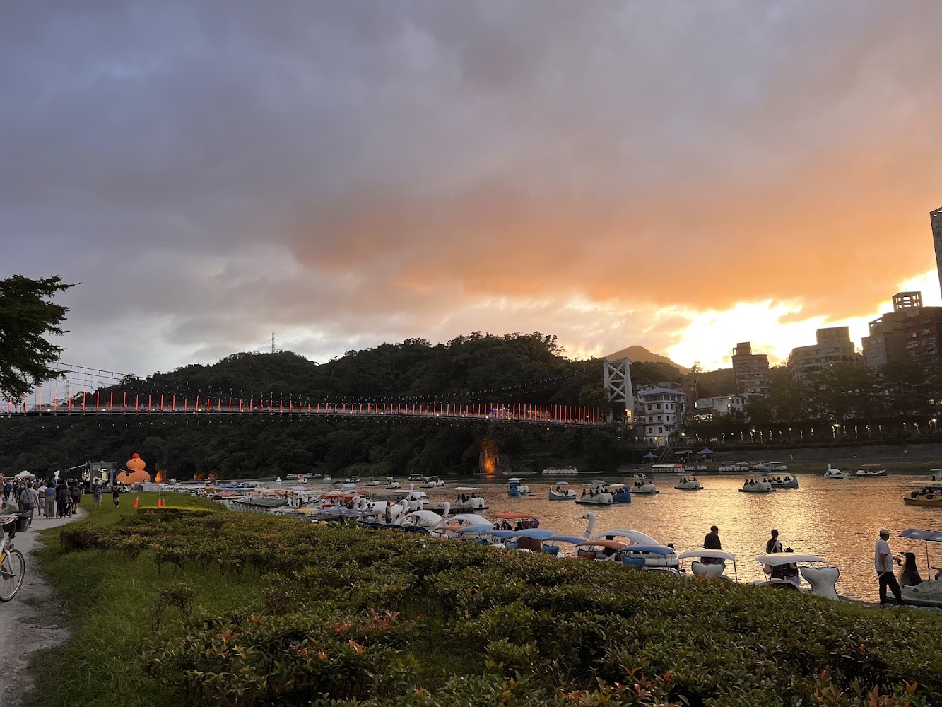 夕陽下的碧潭吊橋與天鵝船景色