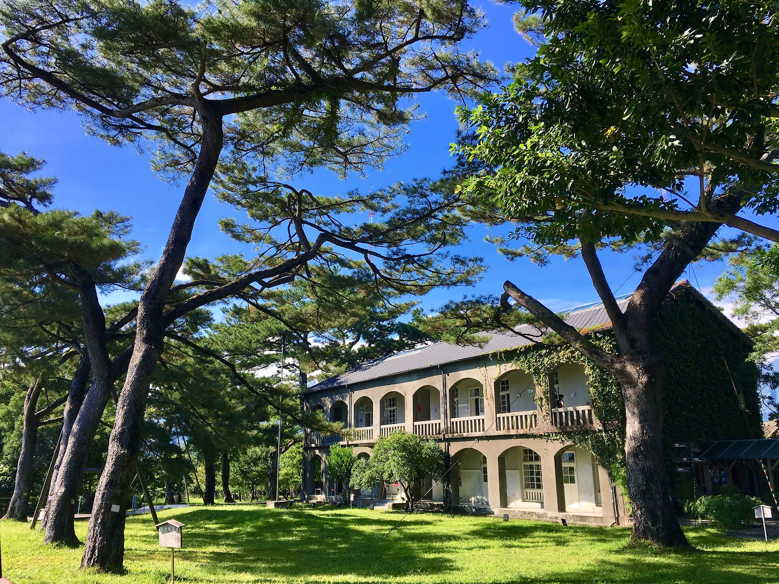 花蓮松園別館百年黑松林環抱日式洋風主建築藍天綠草