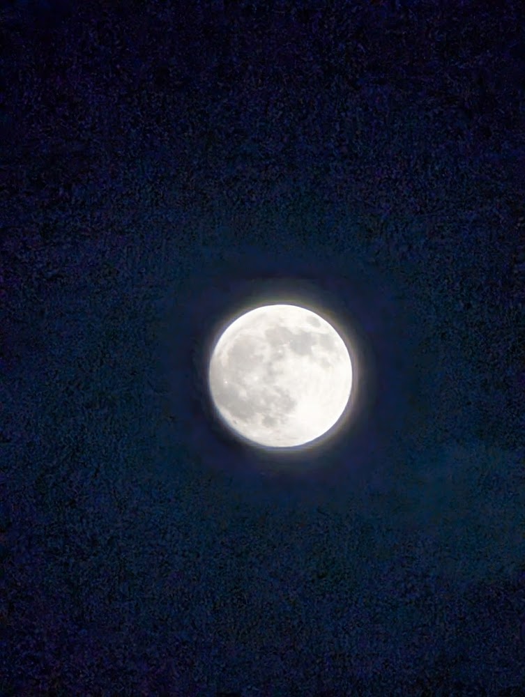 葉媽的莊園夜空滿月景色