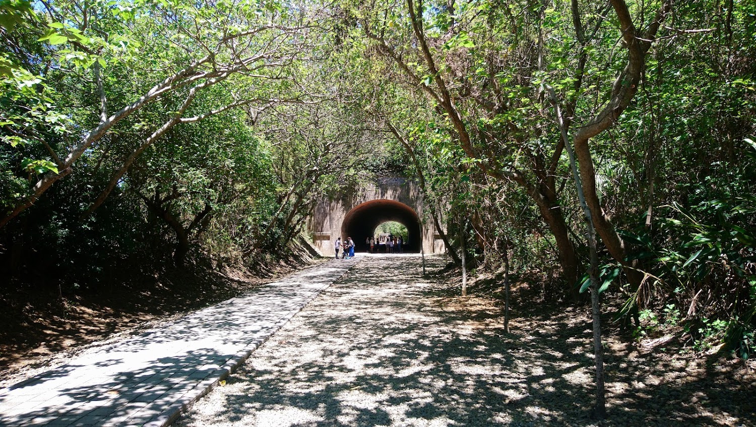 被樹木包圍的小徑通往隧道