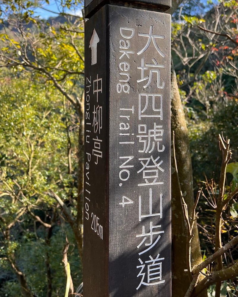 這張圖片是一根指示牌，標示著『大坑四號登山步道』和『中柳亭 205公尺』，位於大坑登山區，適合登山健行的人參考指引方向。