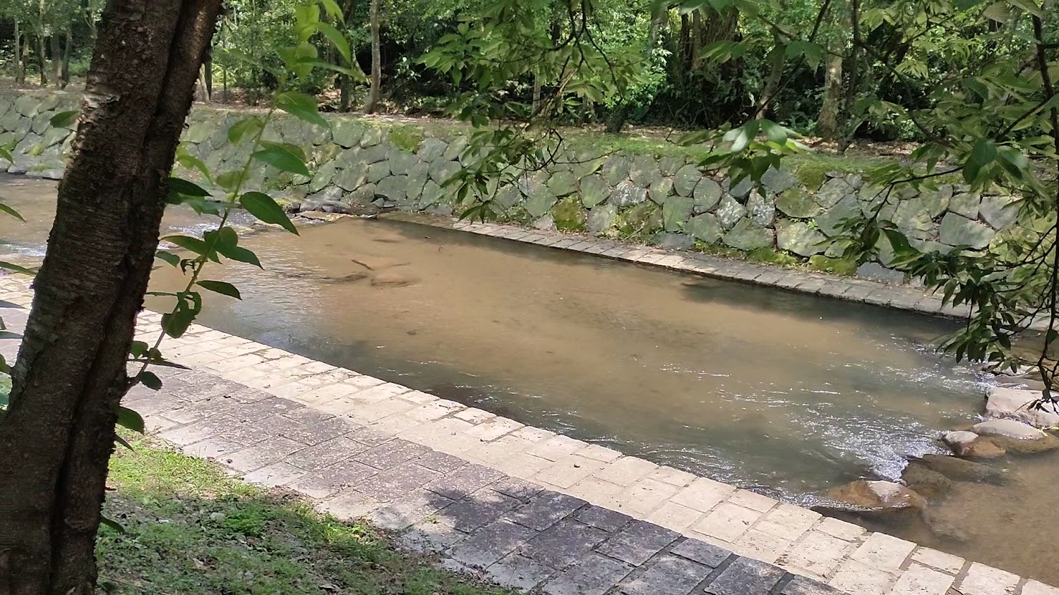 磺溪頭清水園區人工石砌護岸小溪