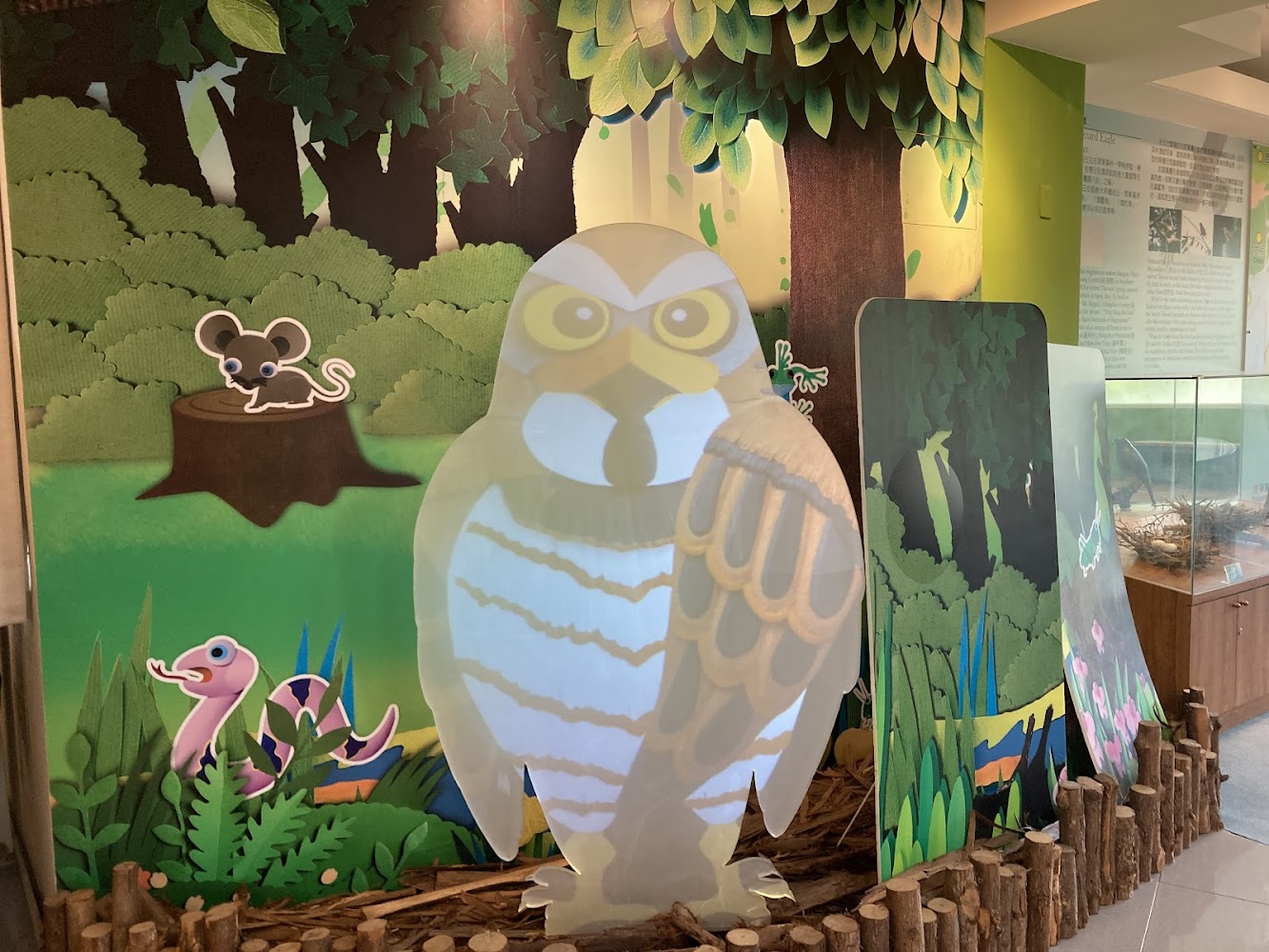 灰面鵟鷹主題館內部插畫展示