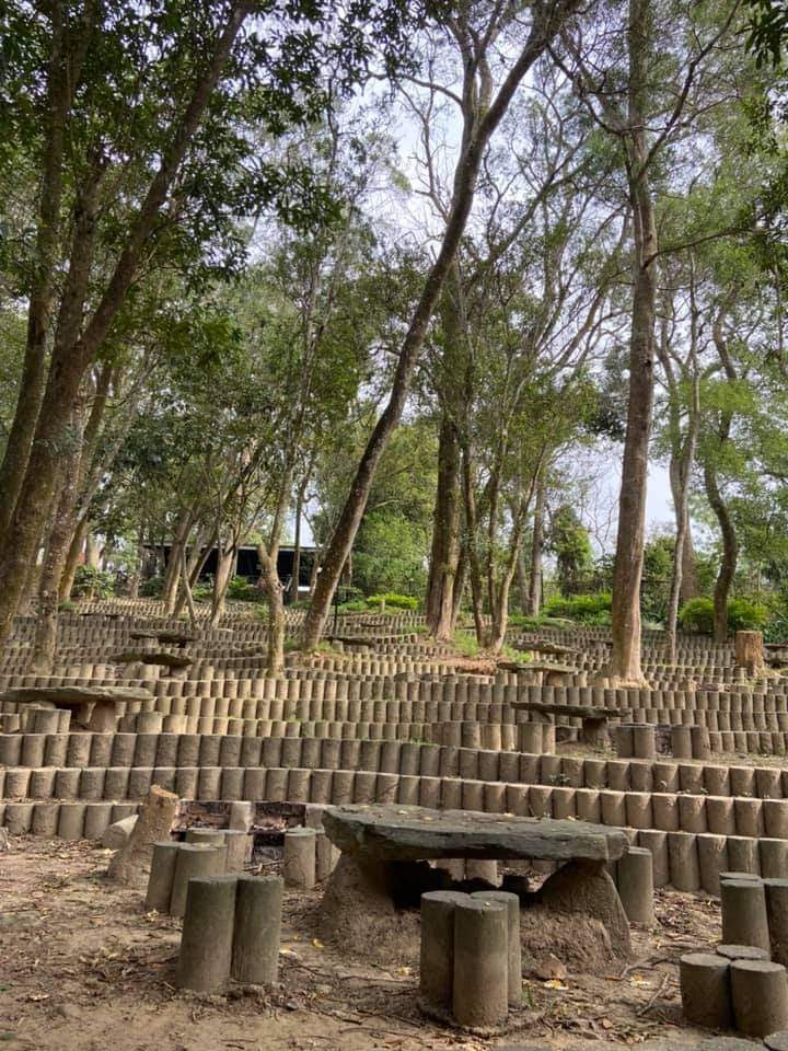 這張圖片主要呈現了一個森林環境，地面鋪設了許多圓柱狀的水泥塊，形成階梯狀座位，有幾張石桌椅可供休息，環境幽靜自然，適合戶外活動。