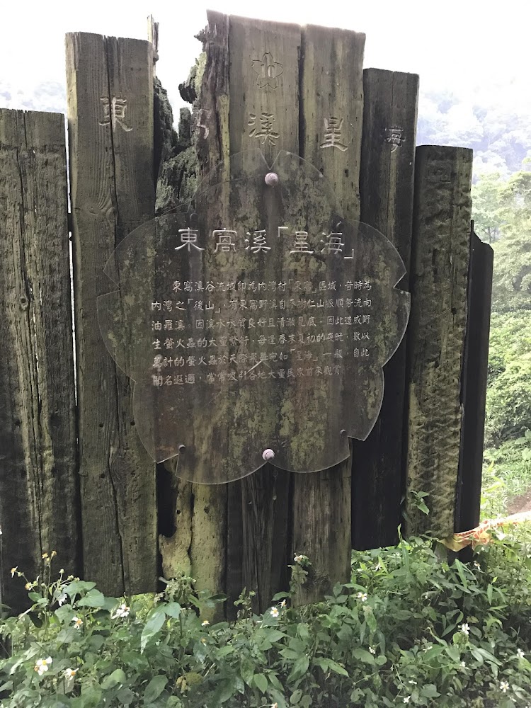 東窩溪星海解說牌與自然植被