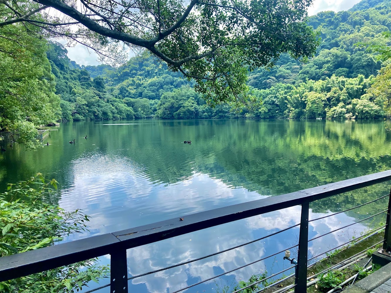 後慈湖秘境步道的湖面倒映藍天白雲