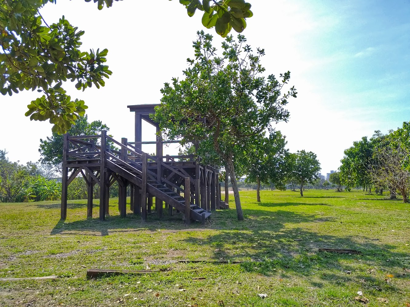 湖濱水鳥公園觀景台與草地