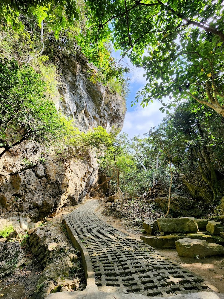 岩石林徑自然步道