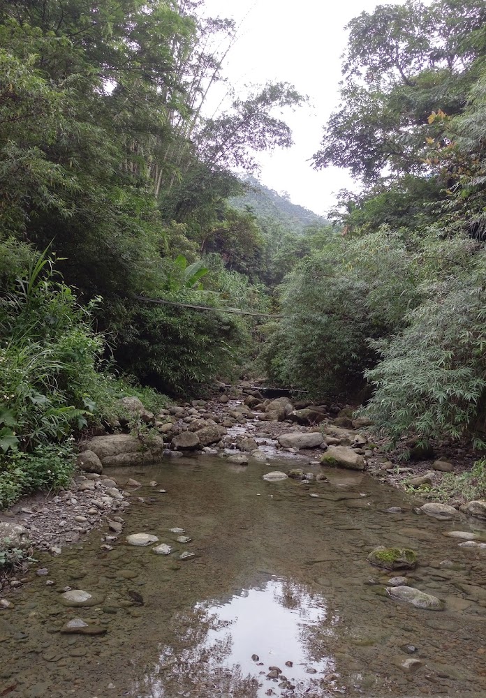 打勾勾螢火蟲山蘇農場旁清澈溪流
