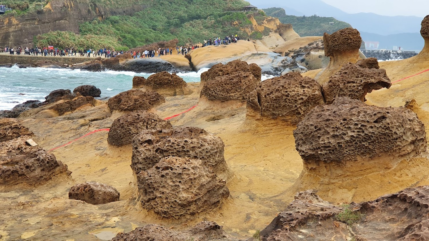 野柳蜂窩狀岩石與步道遊客
