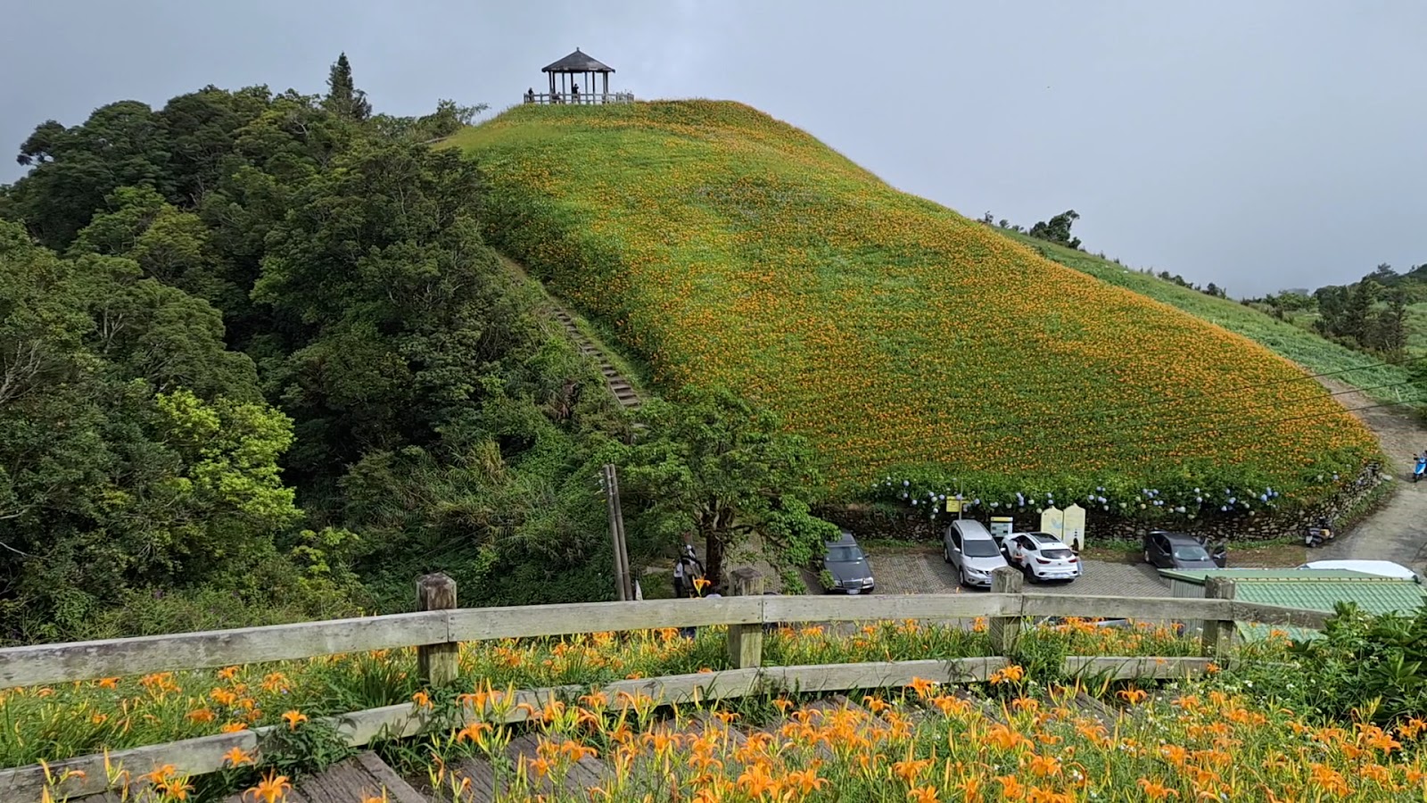 太麻里金針山全景，錐形山頭覆滿金針花，山頂六角涼亭，台東景點推薦