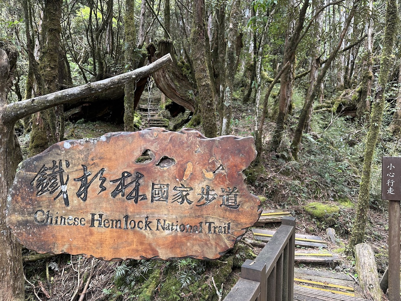 鐵杉林國家步道木製告示牌