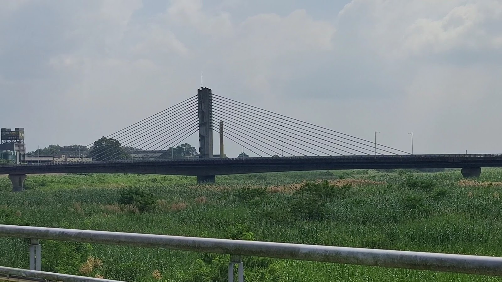 旗山溪旁斜張橋遠景，蘆葦草原，旗山溪河床風景