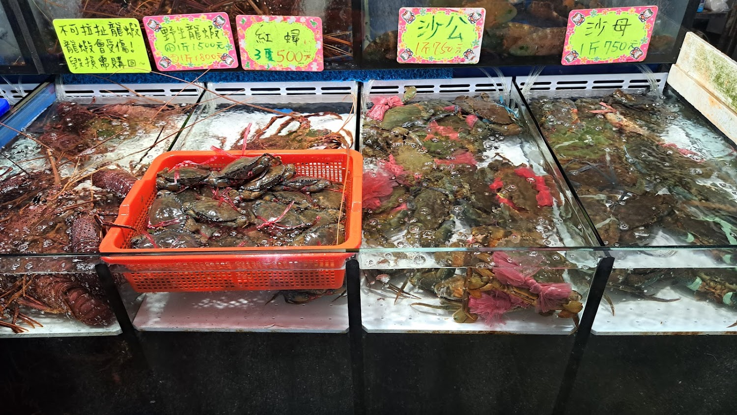 竹風漁市活海鮮水族箱
