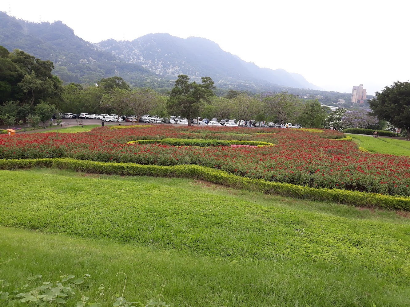 整齊花園與停車場及山景