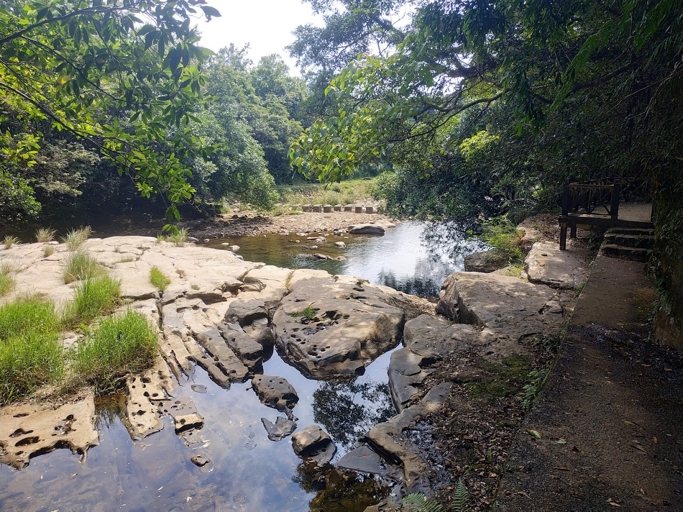 樓仔厝古道溪流步道與木欄杆