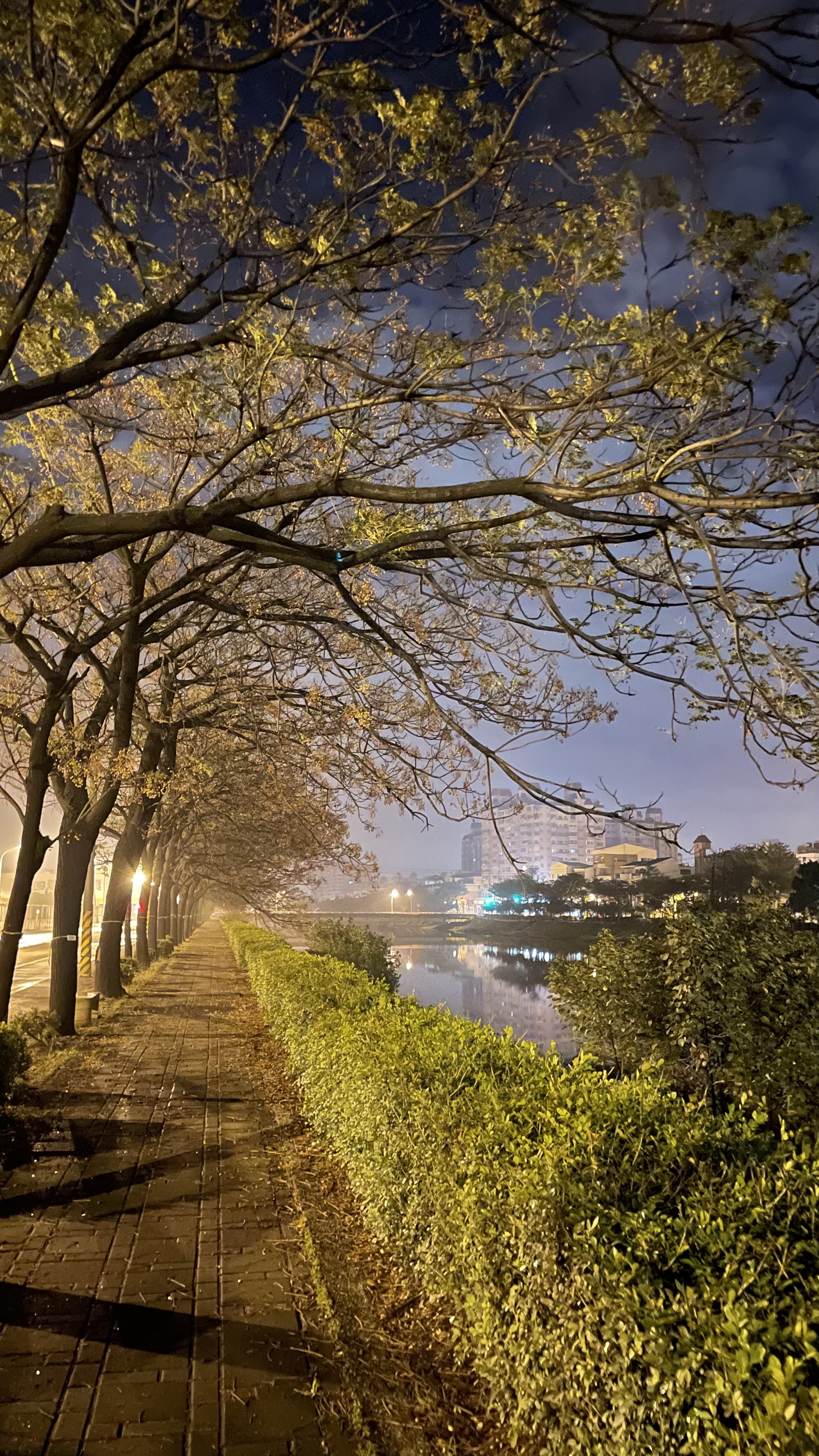 夜晚河岸步道與城市燈光倒影