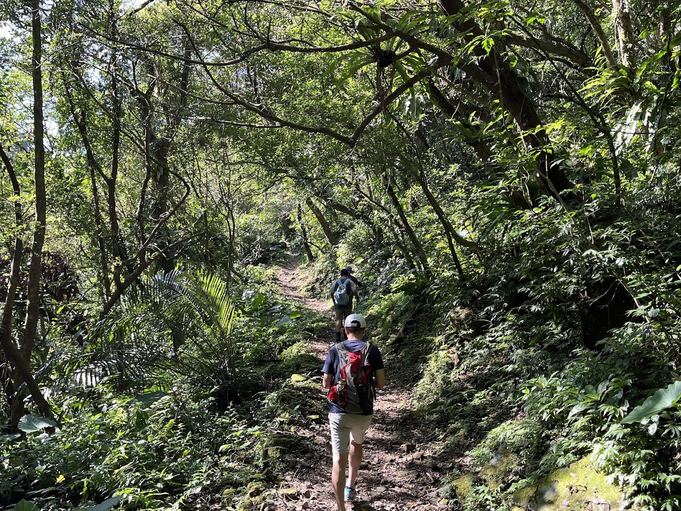 淡蘭古道灣潭段林間步道與登山者