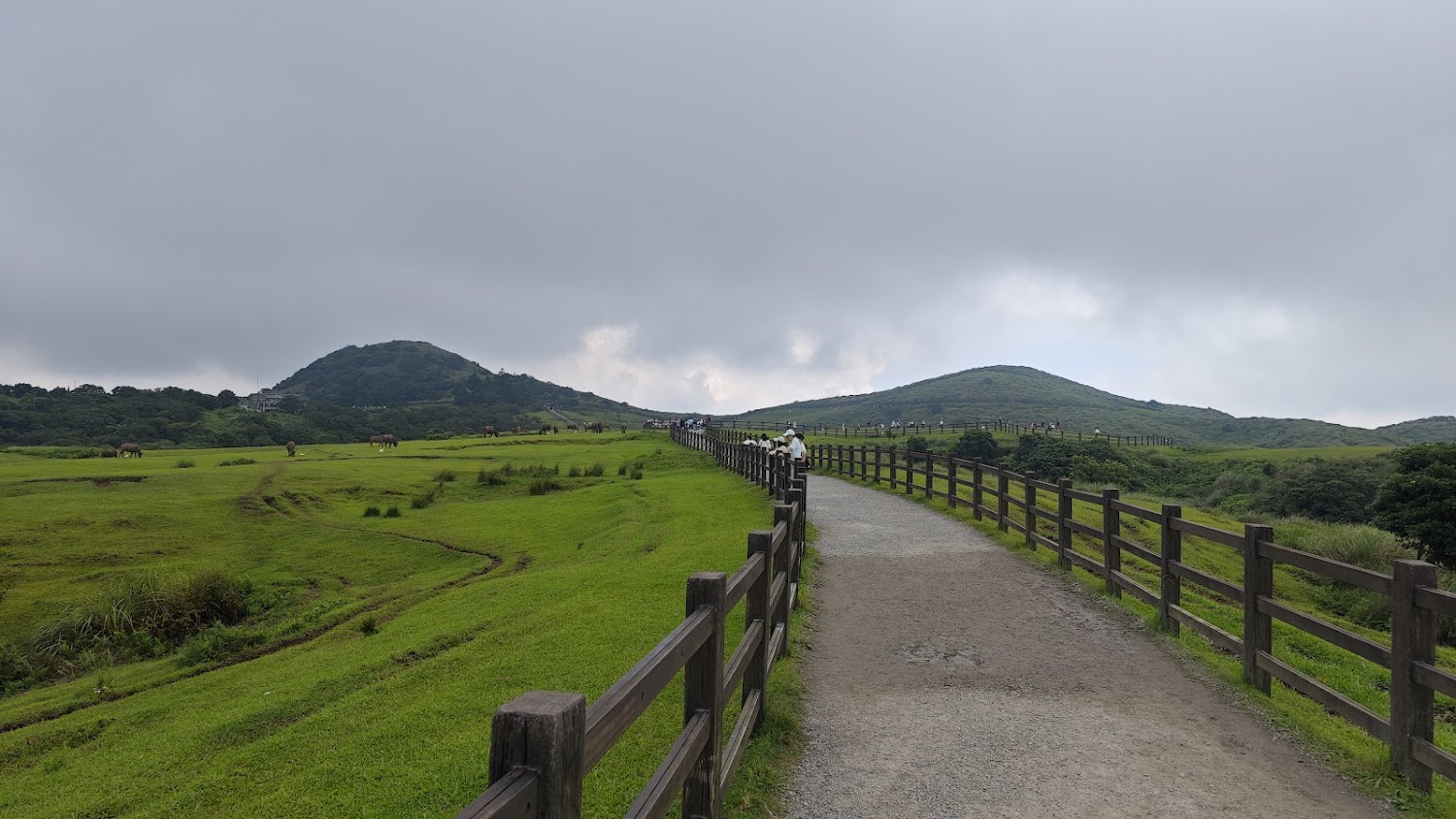 擎天崗公車站附近草原與步道風景