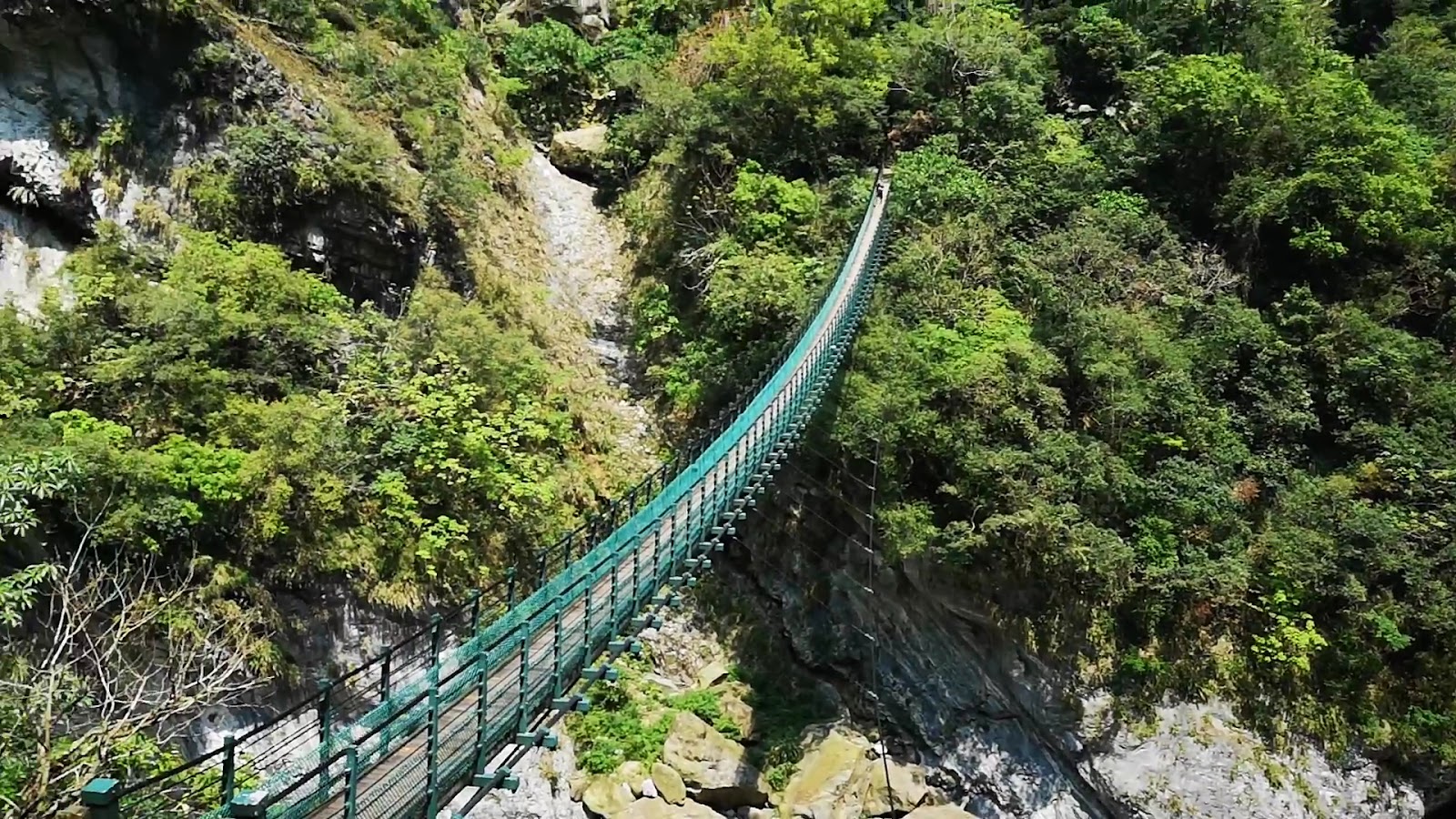 燕子口步道吊橋俯視峽谷溪流，花蓮太魯閣