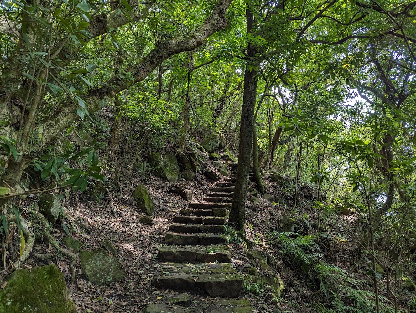 紗帽山陽明湖登山口林間石階步道