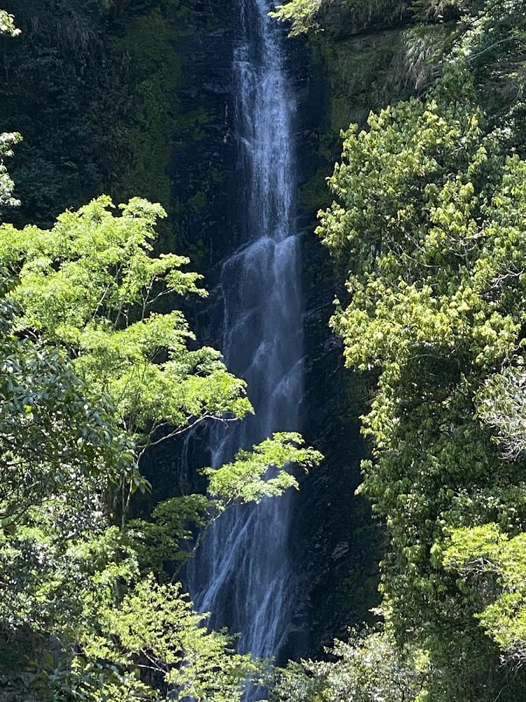 觀霧國家森林遊樂區內山壁旁的瀑布景觀