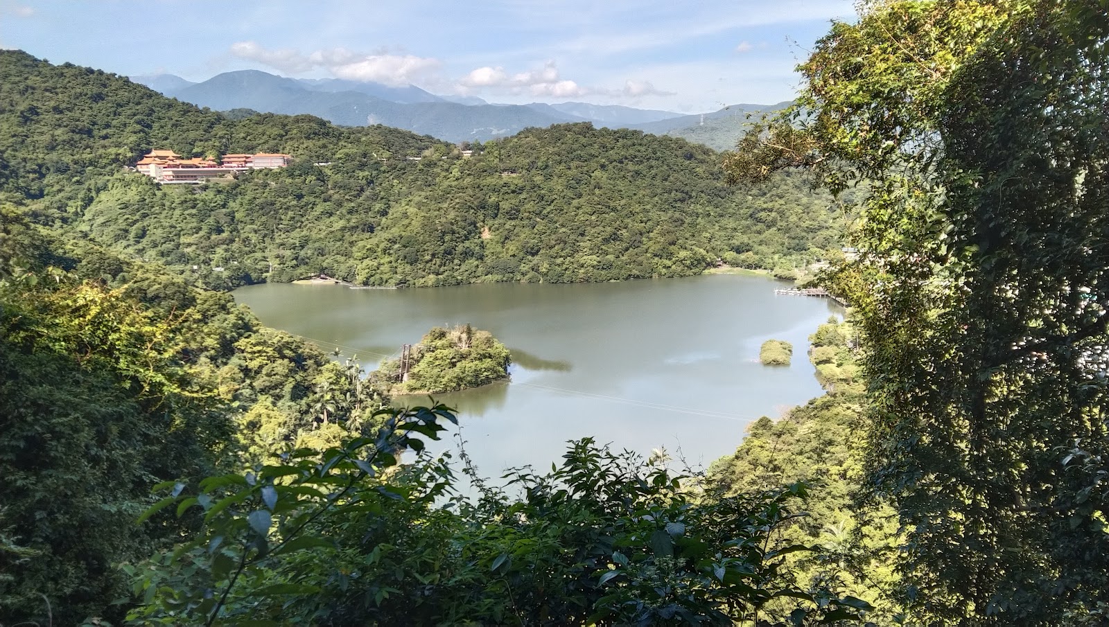 前往望梅台的林蔭步道，樹木蒼翠，步道清幽宜人
