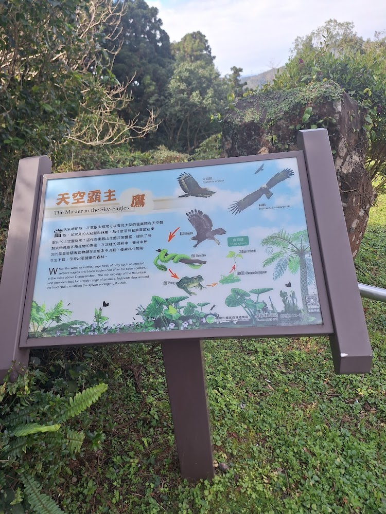 介紹猛禽與食物鏈的自然教育解說牌