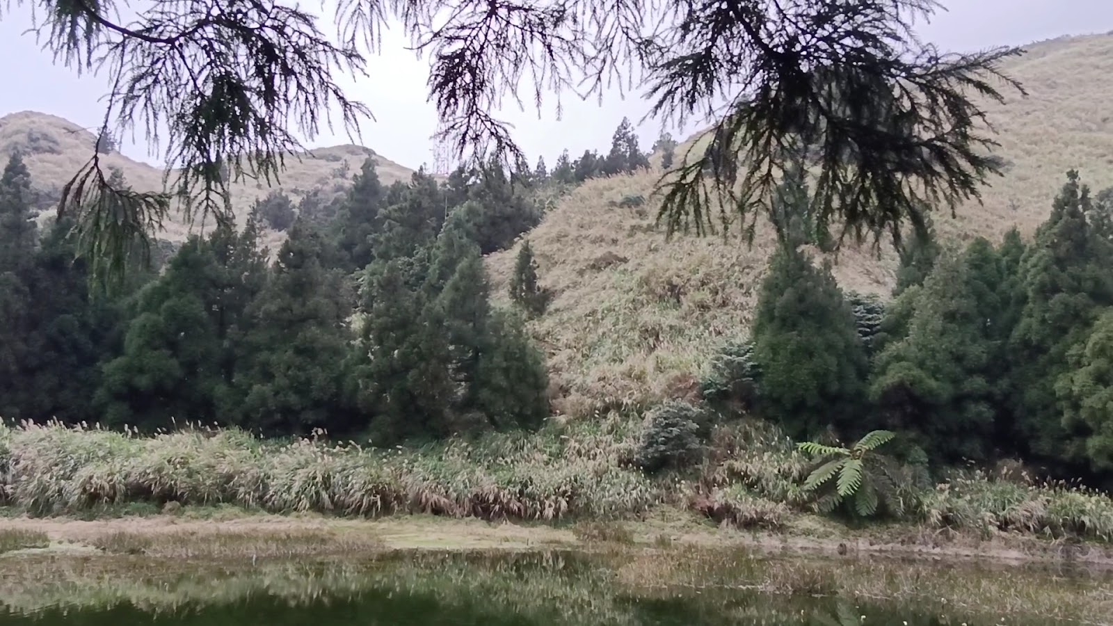 冷水坑步道，山間小徑通往夢幻湖