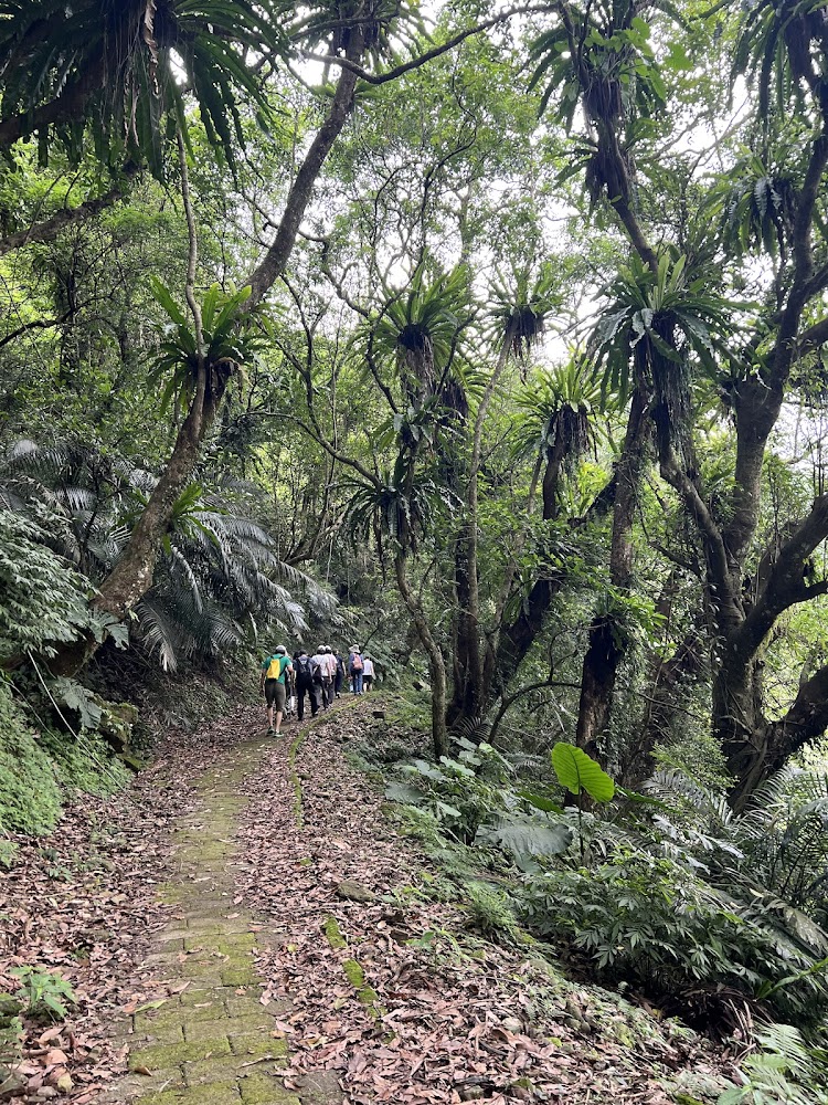 淡蘭古道灣潭段森林步道與登山客