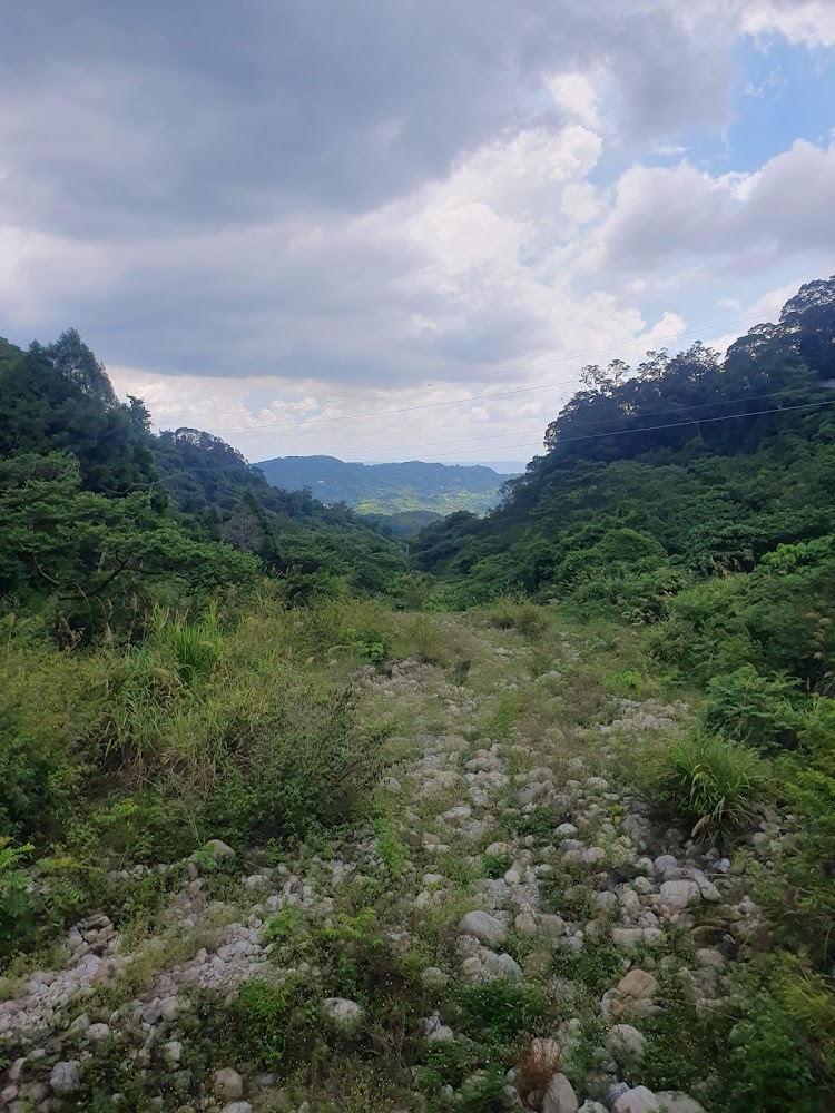 這張圖片主要展示一片郁郁蔥蔥的山谷，前景是布滿石頭與雜草的小溪流道，兩旁是濃密的森林，遠方可見連綿起伏的山巒與陰雲密布的天空。