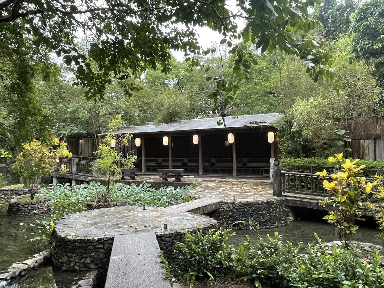 蓮花池與木造涼亭的庭園景色