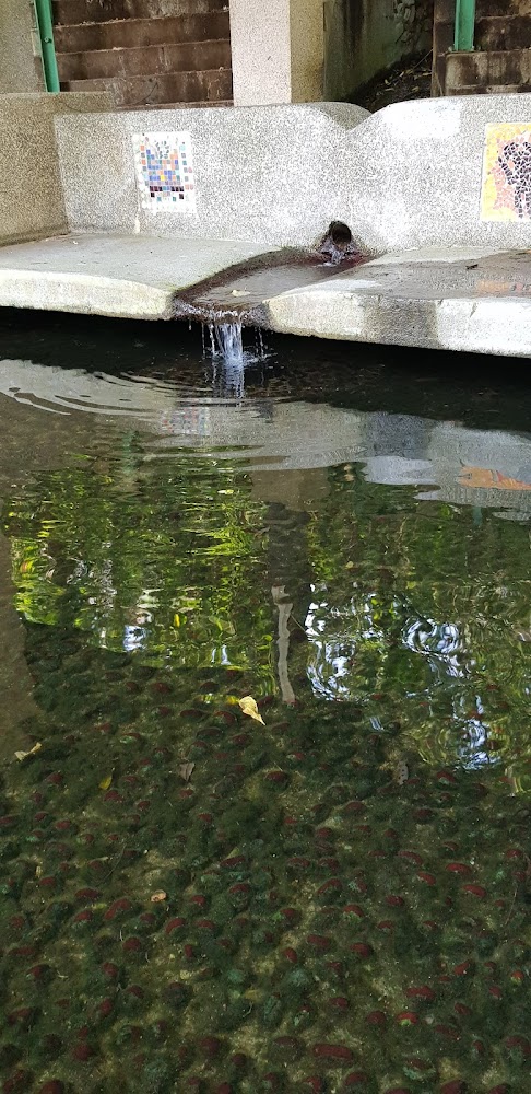 紹興泉戶外水池與泉水流入口