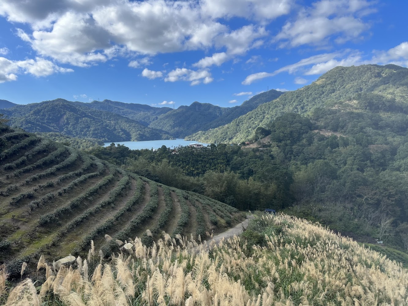 茶園梯田與湖泊同框的八卦茶園景觀台視角