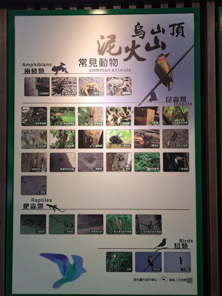 泥火山頂常見動物資訊看板