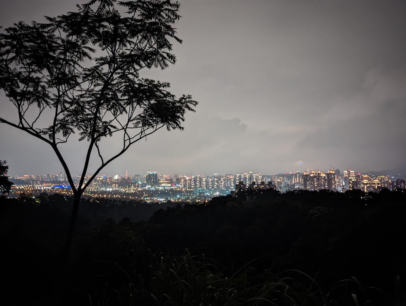 和美山眺望城市夜景