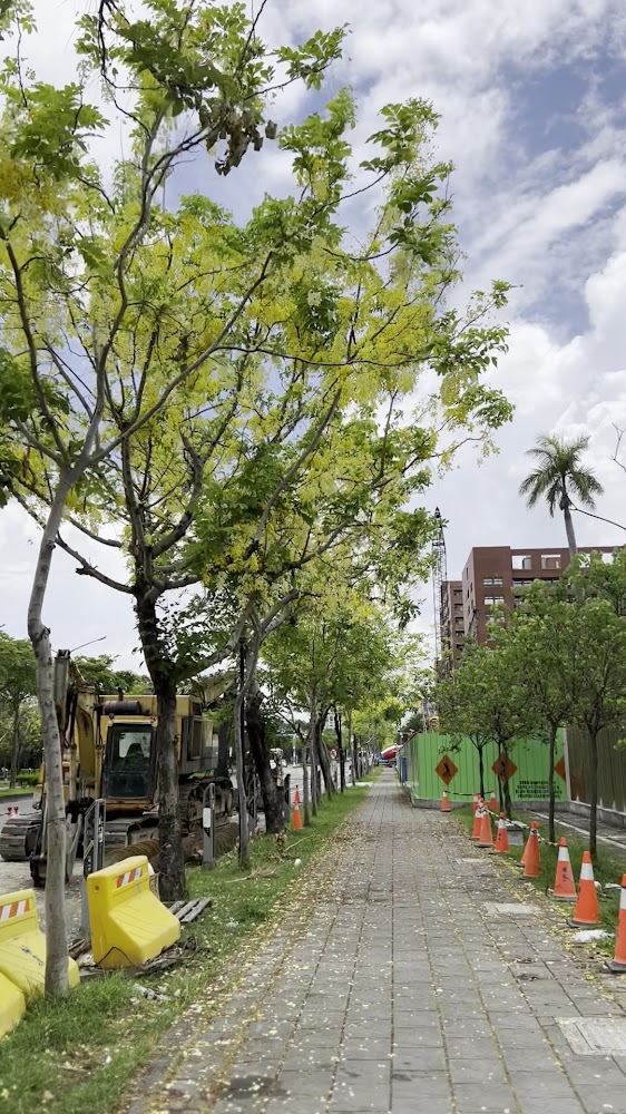 阿勃勒黃金步道人行道花景與街道