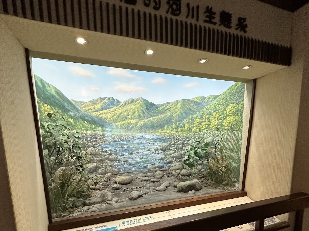集集保育教育館臺灣的河川生態系立體模型展示山川河流植被一覽無遺