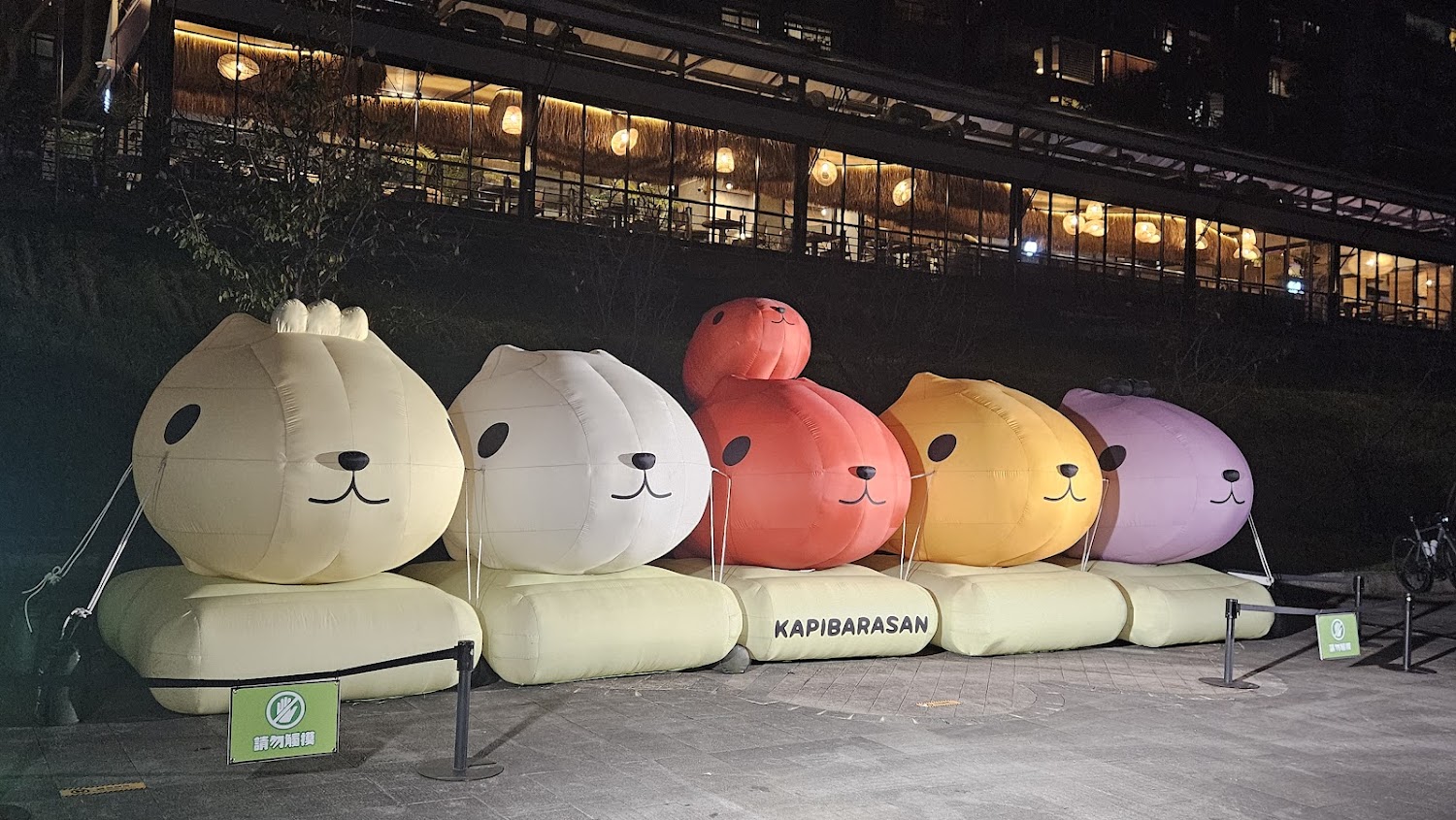 新店碧潭可愛大型水豚裝置
