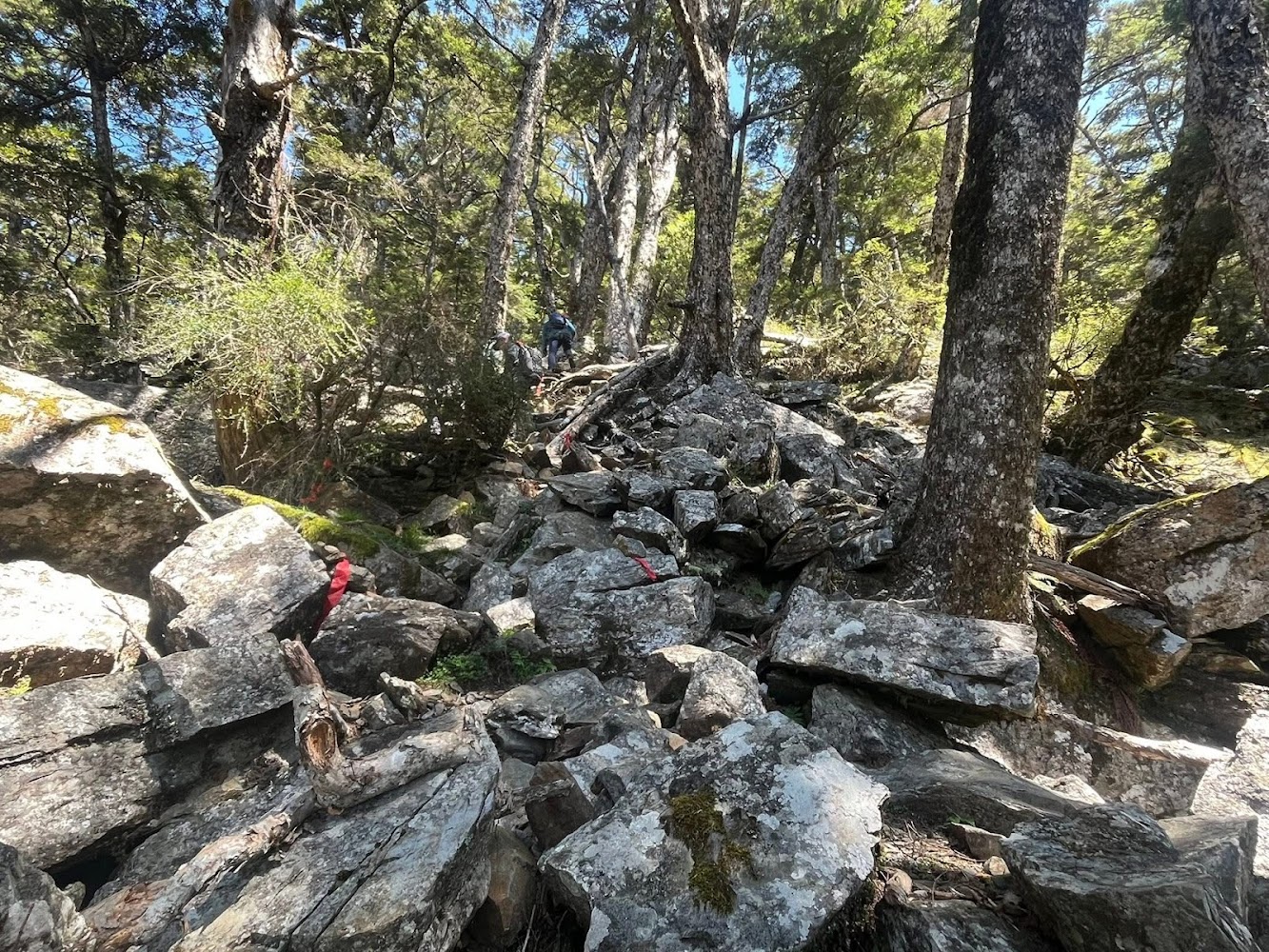 關山嶺山森林岩石坡地與攀爬路線