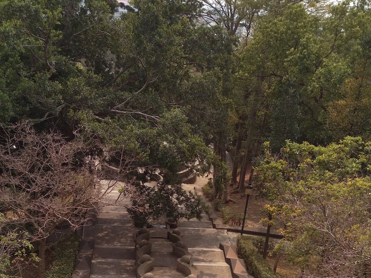 八卦山步道俯瞰，石板階梯蜿蜒穿越茂密綠樹，山林清幽