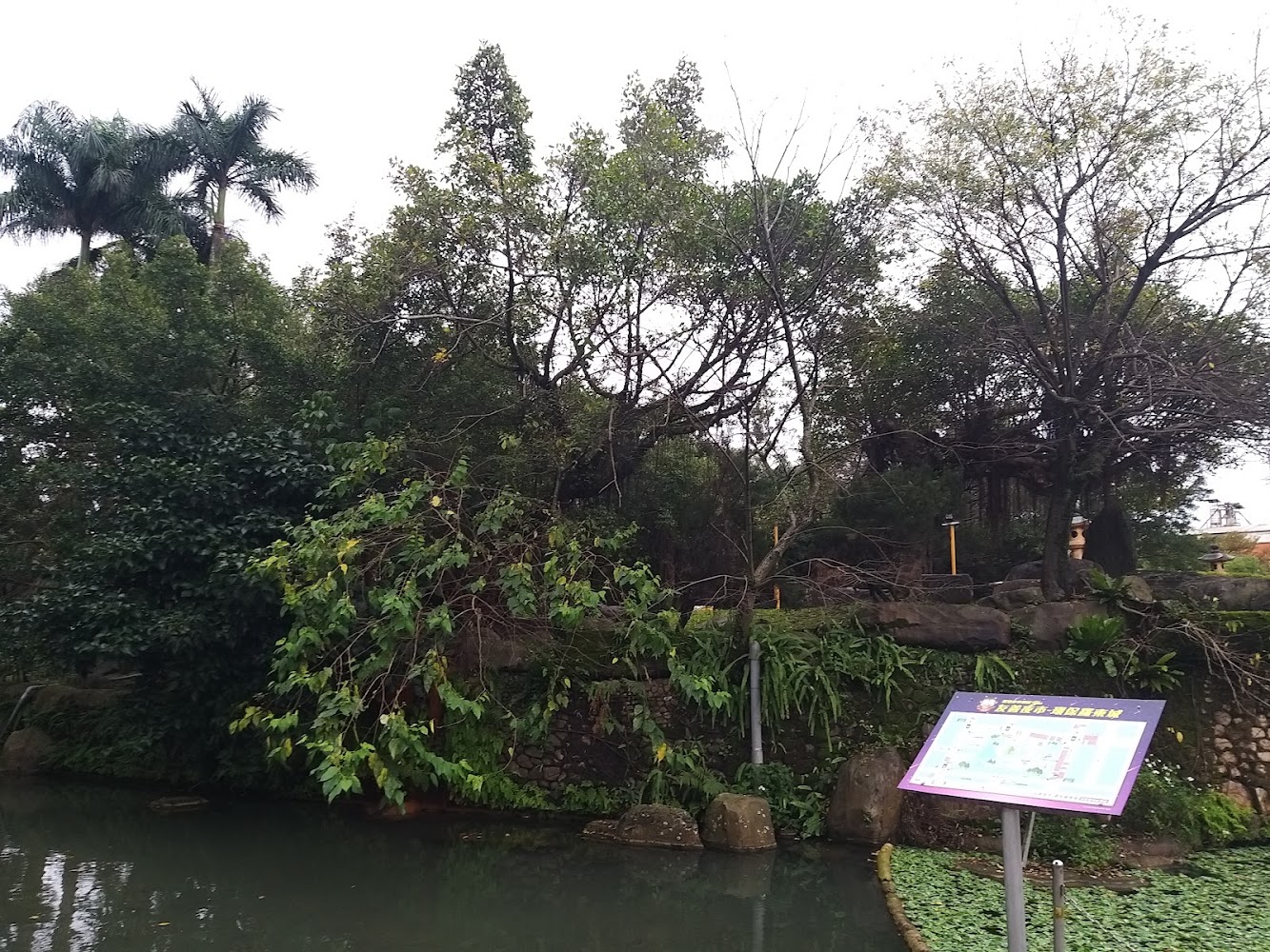 綠意公園池塘與導覽告示牌