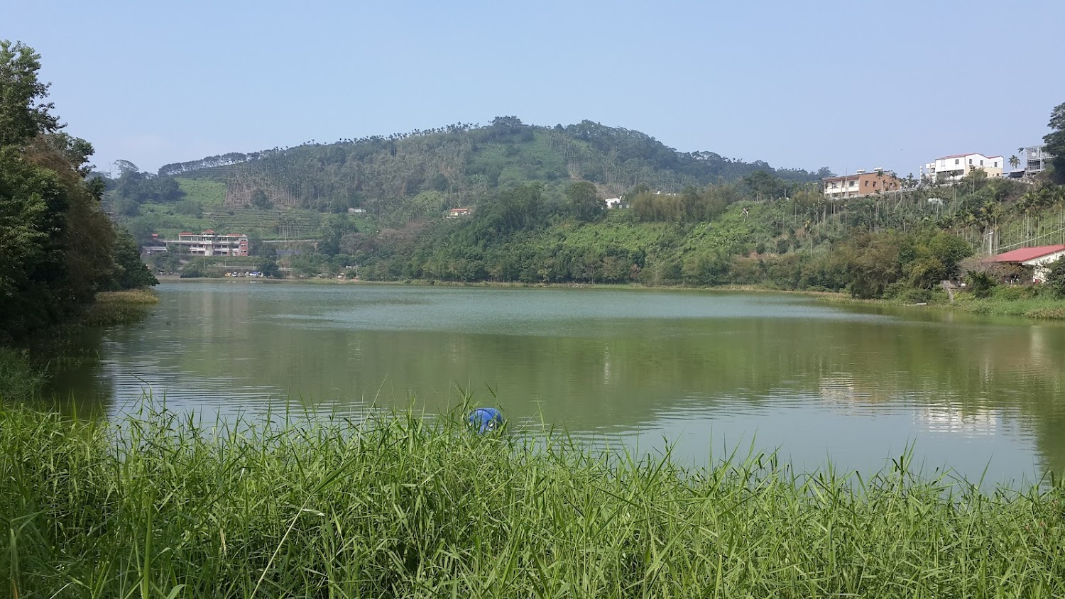 湖泊周邊長著草地，遠方可見山丘和房屋