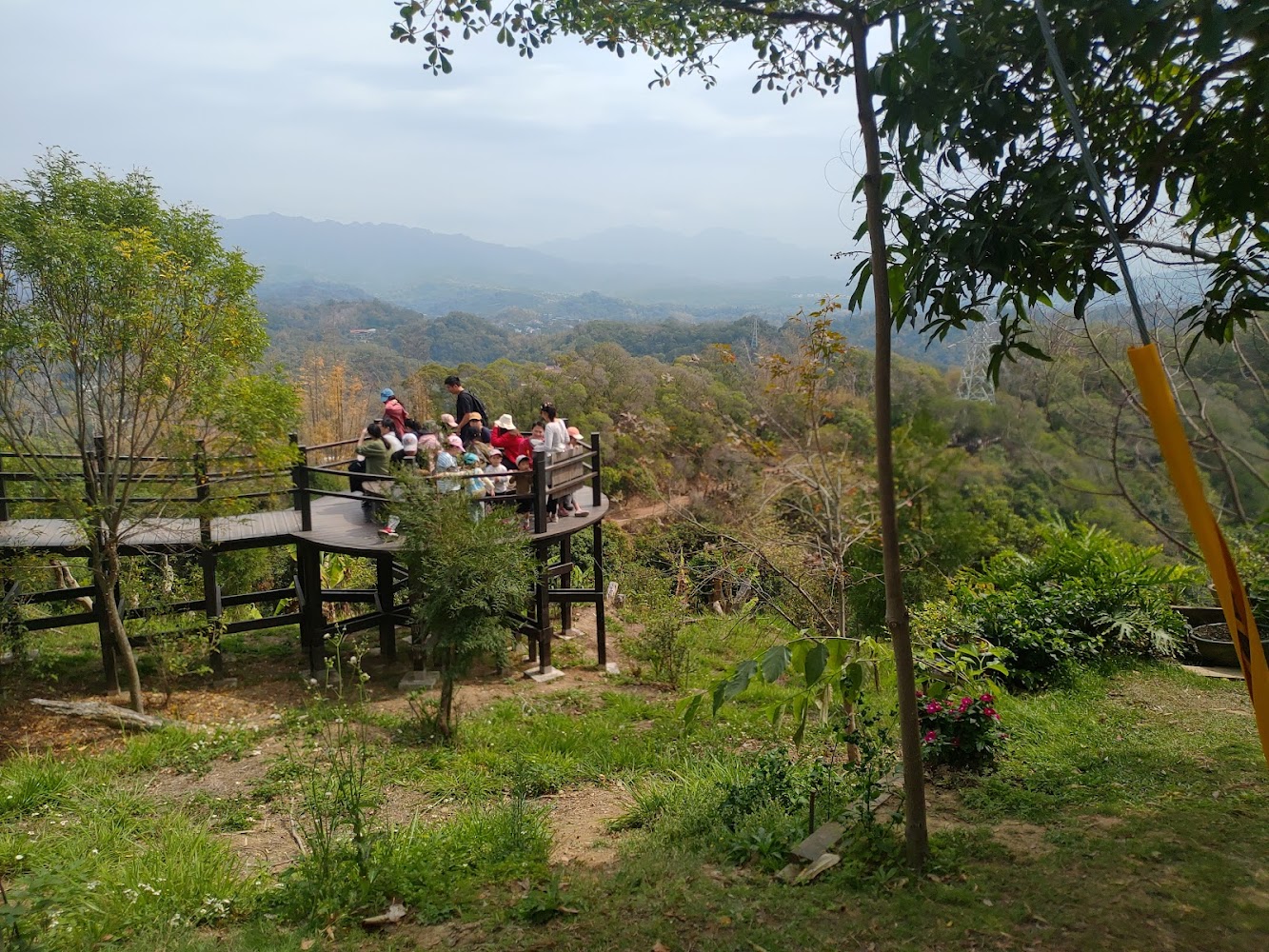 大坑九號登山步道觀景平台